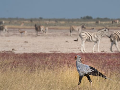 Etosha Pan