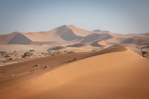 Skeleton Coast