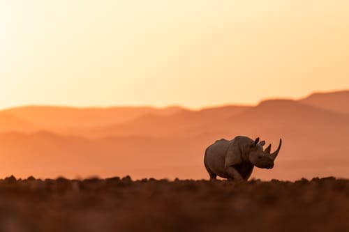 Sossusvlei