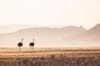 Sossusvlei