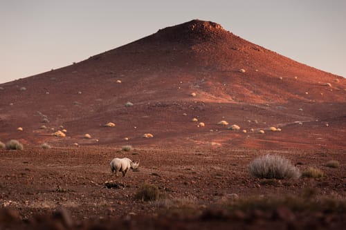 Southern Namib