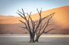 Southern Namib