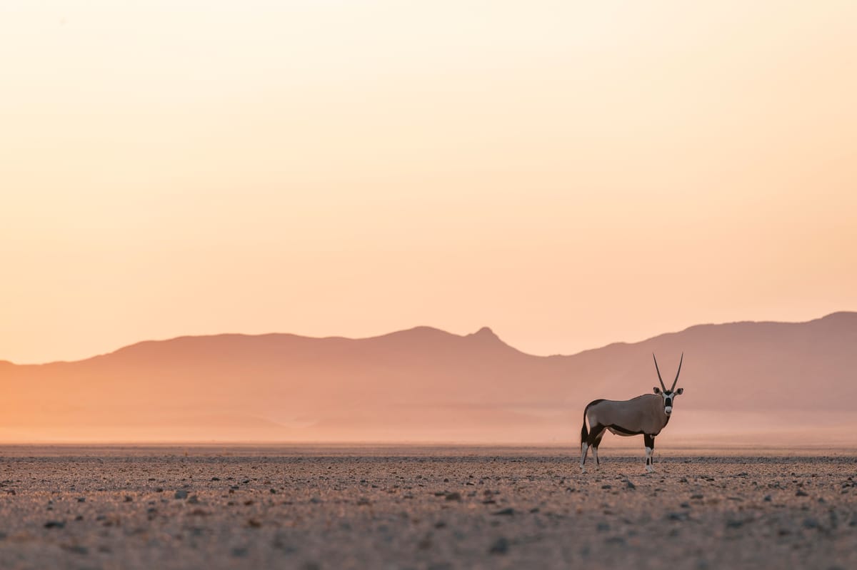 Namibia Dry Season