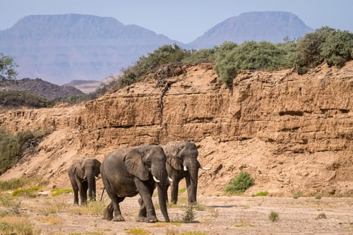 Damaraland Landscape