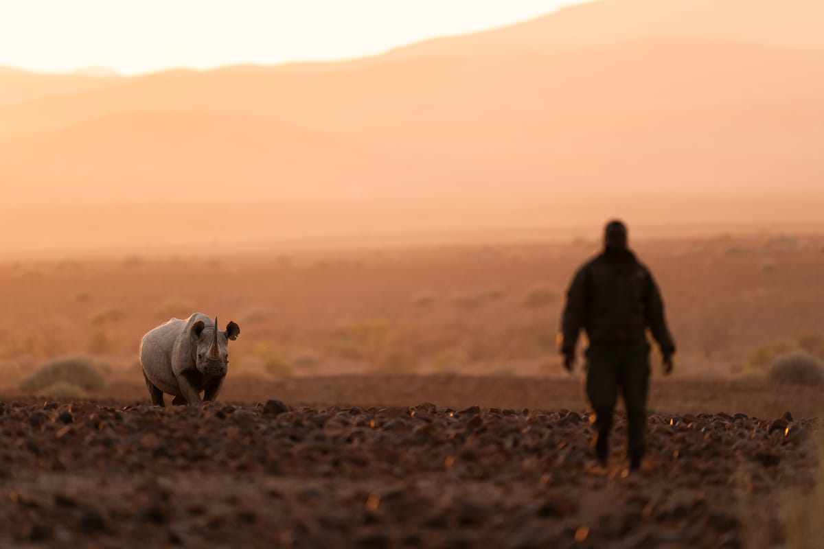 Namibia Low Season