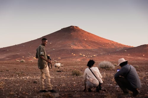 Sossusvlei dunes at sunrise