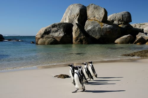 Cape Town & Cape Winelands