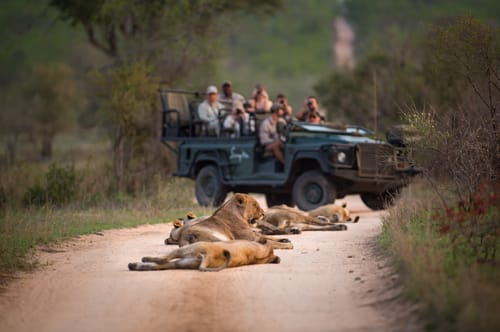Greater Kruger