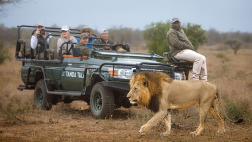 Greater Kruger