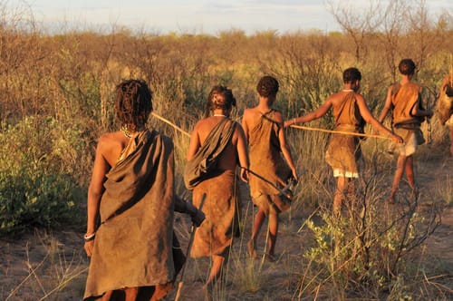 Kalahari