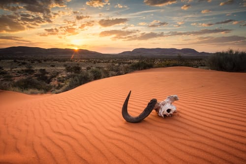 Kalahari