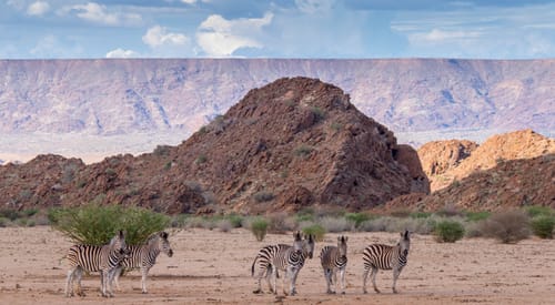 Kalahari