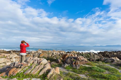 Whale Coast