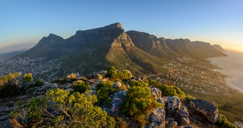 South African Wildlife