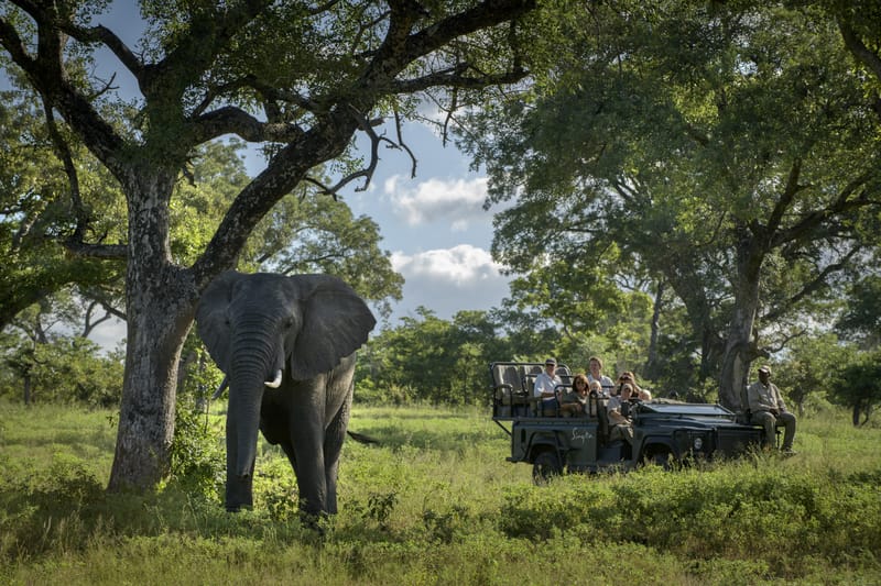 Big Five Game Drives