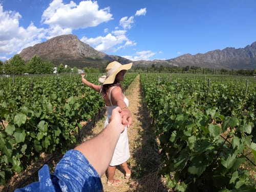 Cape Winelands