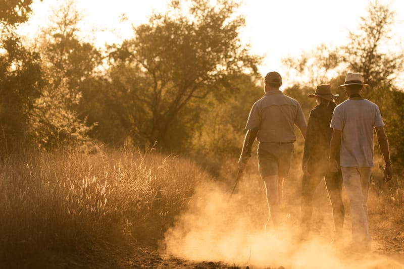 Walking Safari