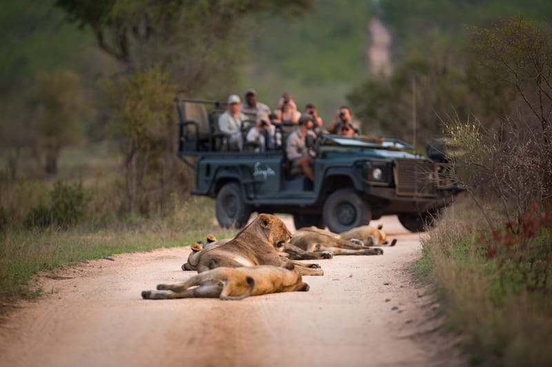 Private Game Reserves