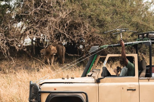 Kafue