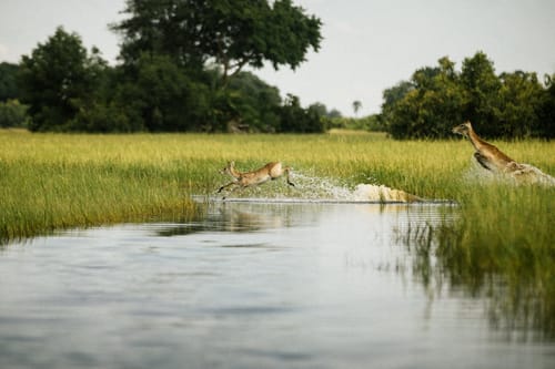 Kafue