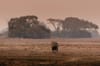 Kafue