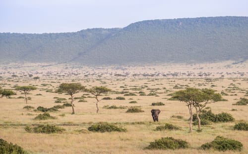 Liuwa Plain