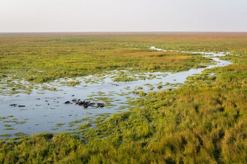 Liuwa Plain