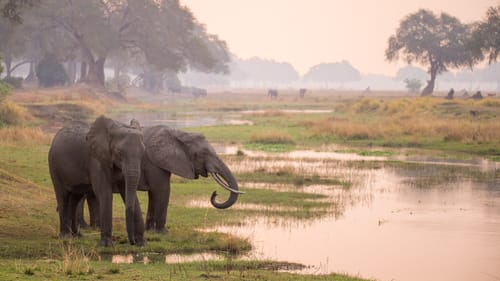 Lower Zambezi