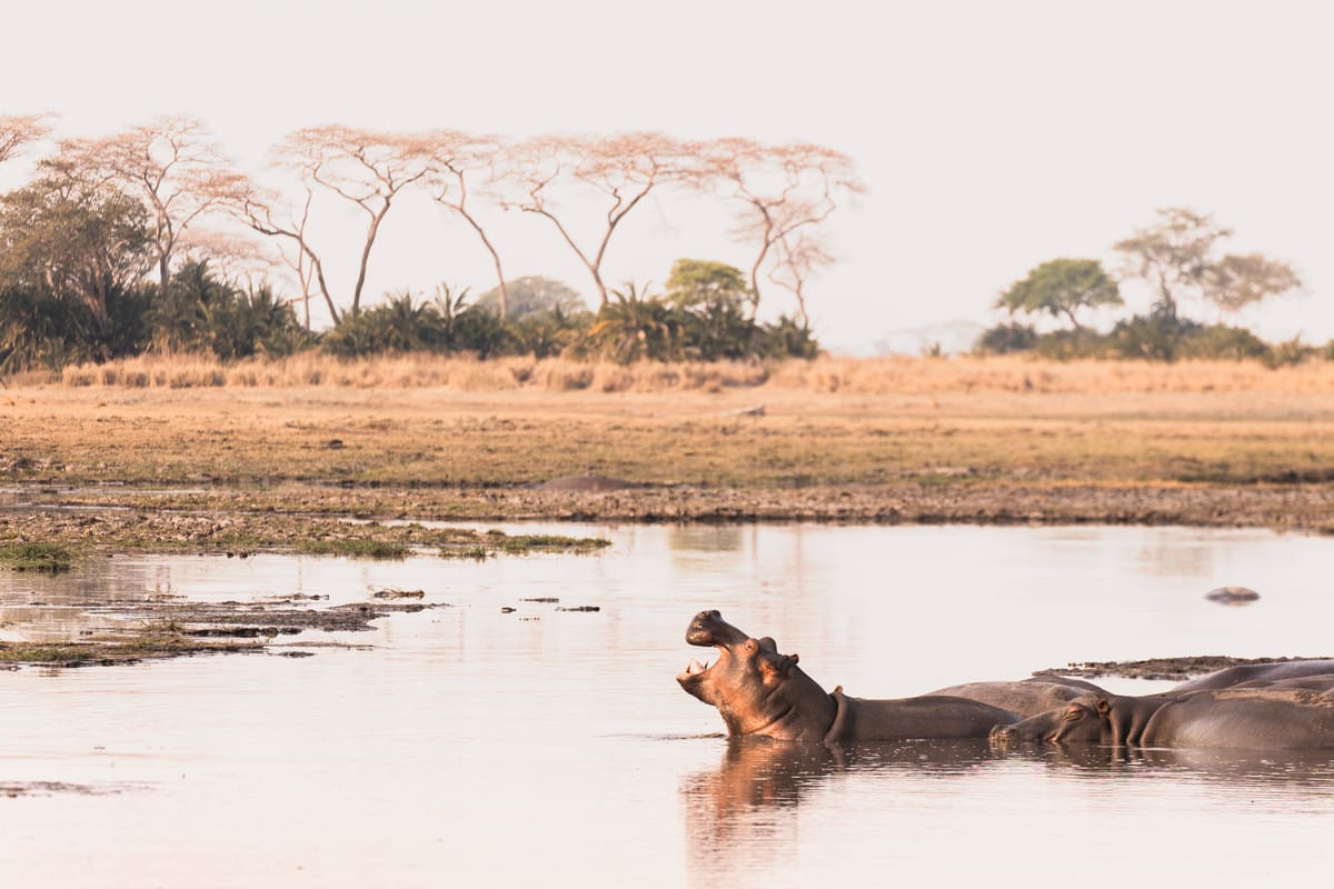 Zambia Green Season