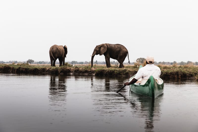 Zambezi Canoeing
