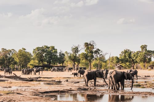 Hwange