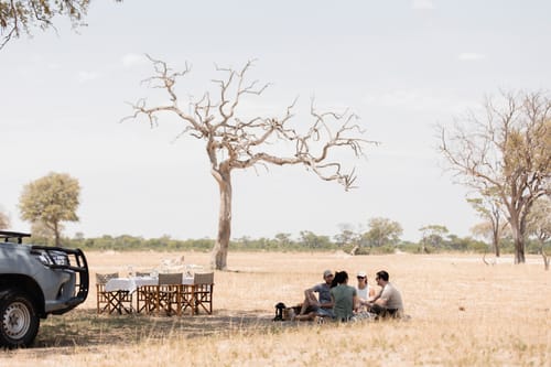 Hwange Elephants