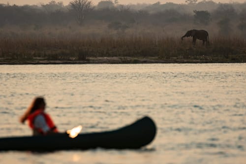 Hwange Wildlife