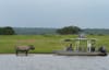Kariba