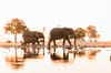 Mana Pools