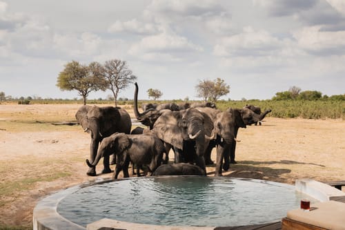 Mana Pools Canoeing