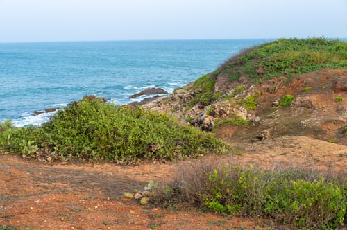 Wetlands of Bundala