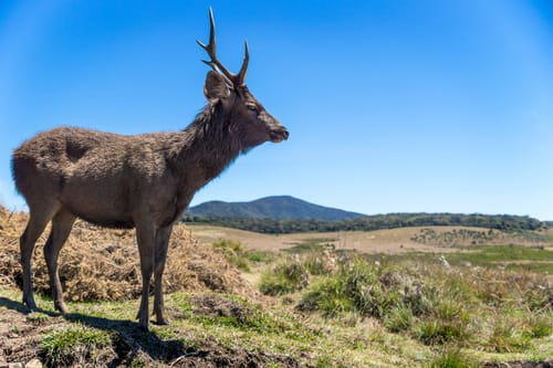 World's End in Horton Plains