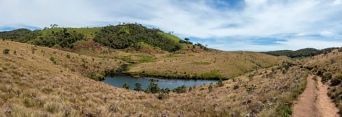 Cloud Forest in Horton Plains