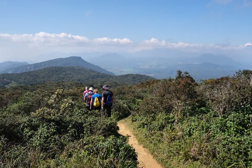 Wildlife in Horton Plains