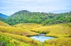 Horton Plains
