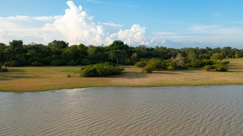Wildlife in Kumana