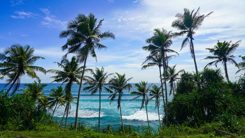 Mirissa Beach