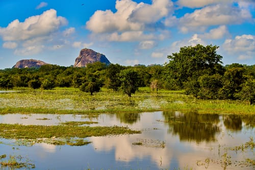 Sri Lanka Wildlife