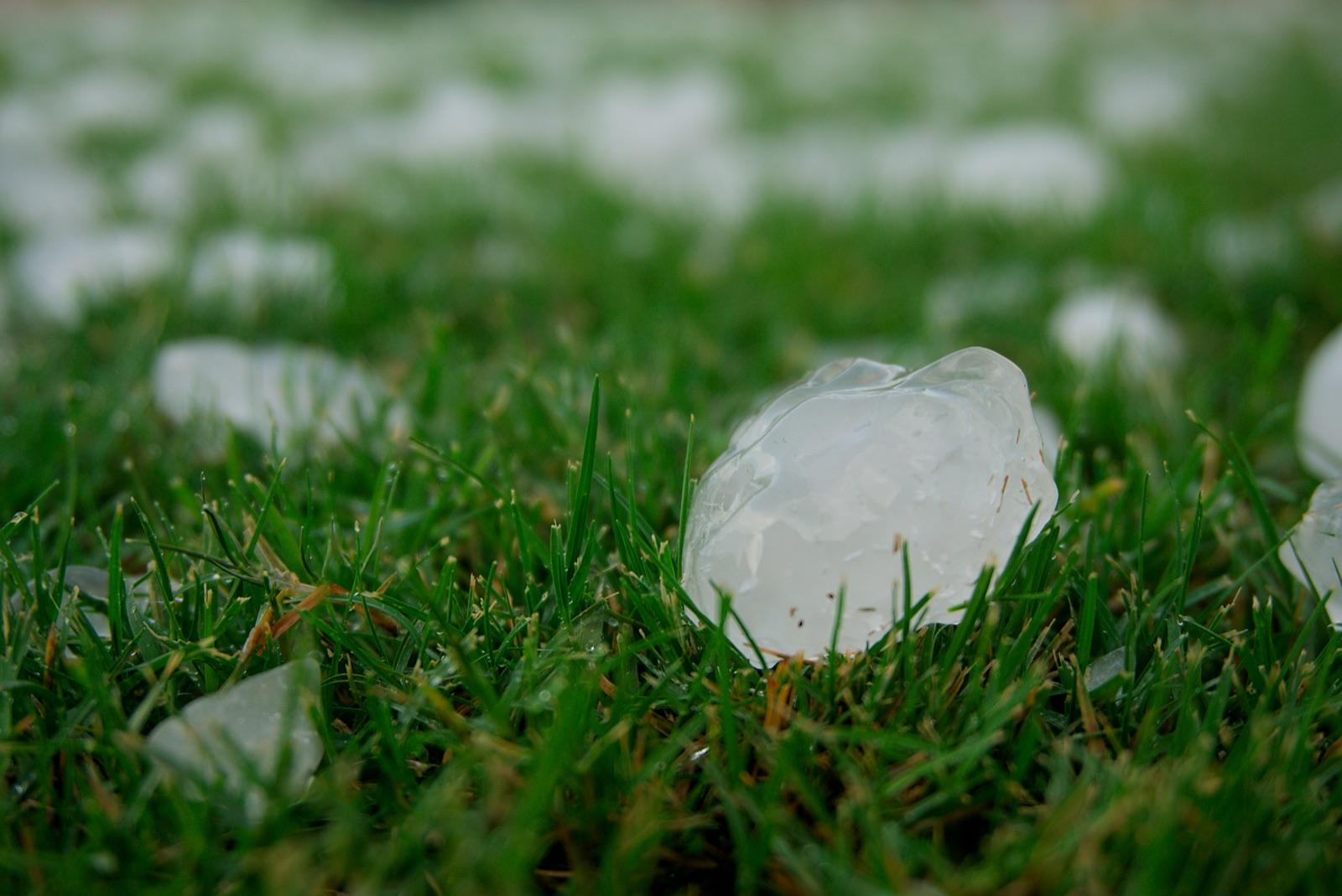 Hail Damage Insurance Claims: How the Payout Really Works