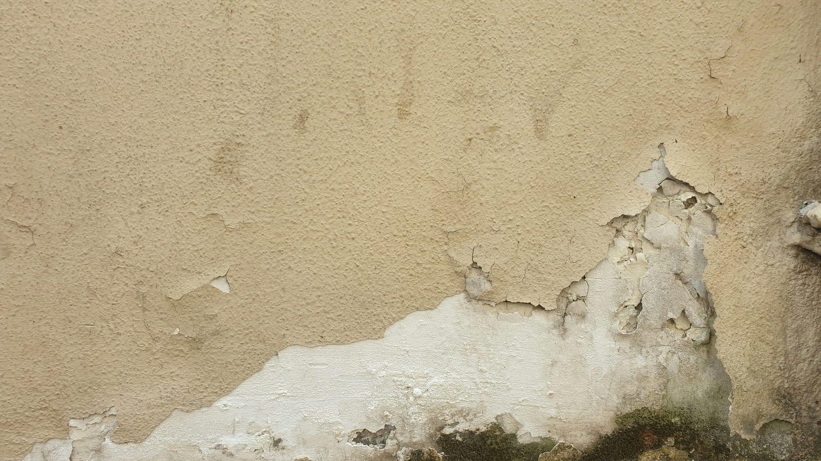 Should You Hire a Public Adjuster for a Denied Water Damage Claim?