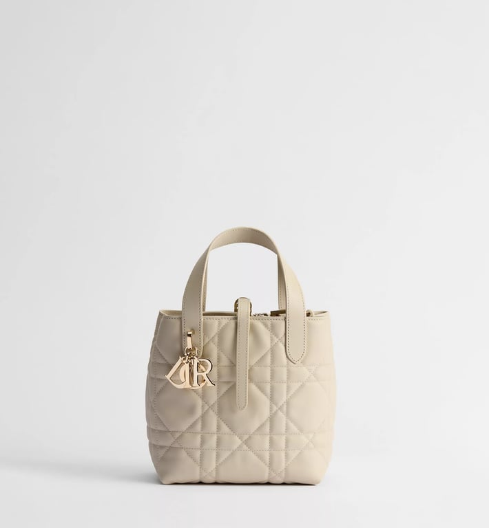 DIOR Small Dior Toujours Vertical Tote Bag
