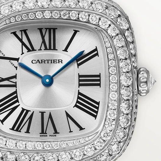 Coussin de Cartier watch 6