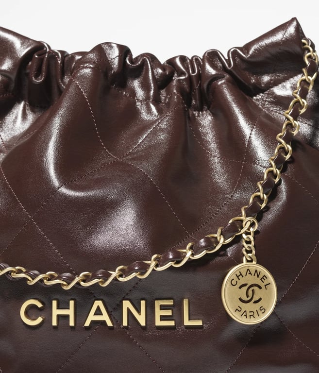 CHANEL 22 Bag 3