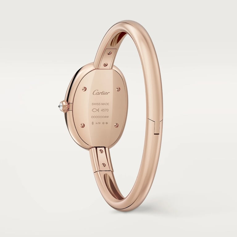 Baignoire watch 4